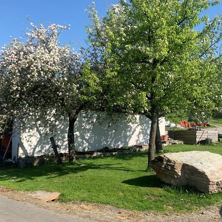 Michelbach Ferienwohnung Waldkoehlerei מראה חיצוני תמונה