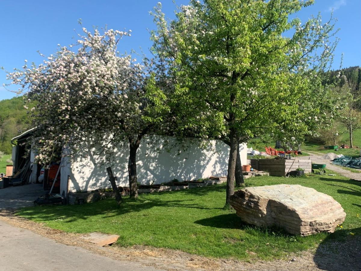 Michelbach Ferienwohnung Waldkoehlerei מראה חיצוני תמונה